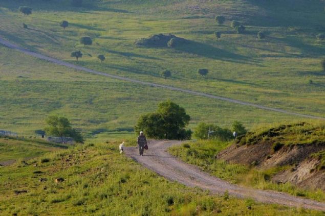 Varto lesi'ne bal skender (nald) Ky'nde le yemeini alan bir oban srnn yanna gidiyor. 
