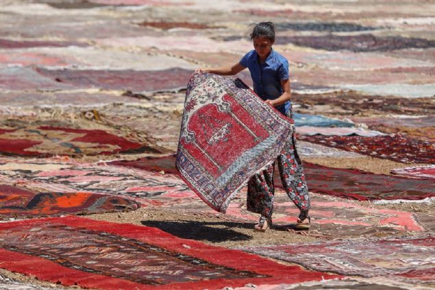 Hal�lar�n, temizlik i�lemlerinin ard�ndan �nce uzun t�yleri k�salt�l�yor.  