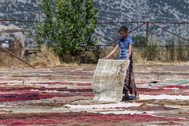 Foto�raf merakl�lar�n�n ve turistlerin de hal� tarlalar�na ilgi g�sterdi�ini aktaran B�rekci, yurt i�i ve yurt d���nda bir�ok �nl� isme de hal� g�nderdiklerini vurgulad�.  