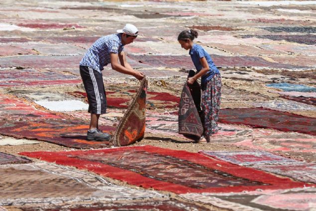 Birbirinden de�erli hal�lar�n tarlalarda yerini almas�yla g�rsel bir ��len olu�uyor.   