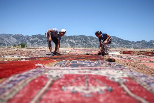 - 'Tarihi nitelik ta��yan hal�lar da bu tarlalarda yer al�yor'  <br><br>  ��letmecilerden Zeynep B�rekci de hal� tarlalar�nda hareketlili�in may�s ay�nda ba�lad���n� ve eyl�l sonuna kadar s�rd���n� anlatt�. 