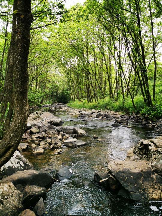 Arkadalaryla elalede piknik yapan Beytullah ztrk demanzaray gren herkesin ok etkilendiini, ulamn kolay olmas nedeniyle elalenin youn ekilde ziyaret edildiini syledi. 