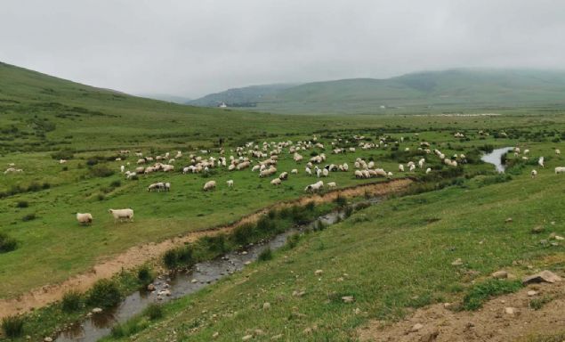 Tokat'tan arkadalaryla elaleyi gezmeye gelen Seyit Ahmet Pehlivan, doa harikas manzaray gren herkesin ok etkilendiini belirterek,  