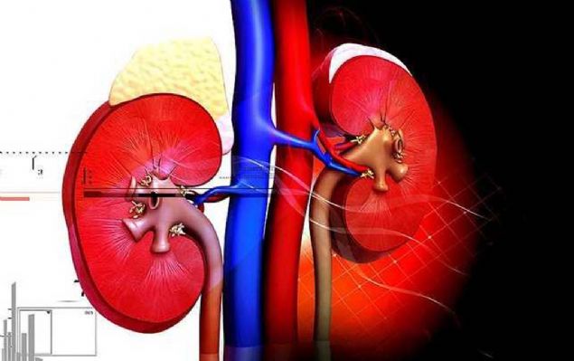 4304  <br><br>  Tm hastalklarn stesinden gelecek bir yntem bulunacak.  