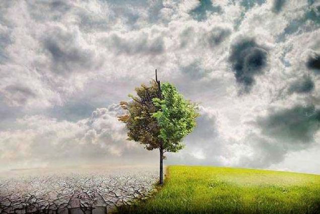 2354  <br><br>  nsan yapm gnelerden birinde meydana gelecek bir kaza, kurakla neden olacak.    