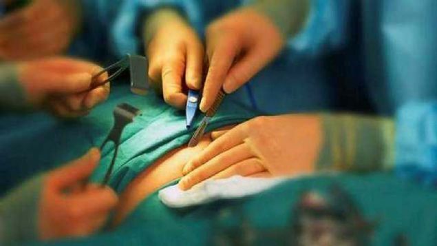 2046  <br><br>  Tm vcut organlar yeniden retilip oaltlabilecek.   <br><br>  Hastalanan organn yerine yenisinin konmas en ok kullanlan ve en basit tedavi yntemi olacak.         