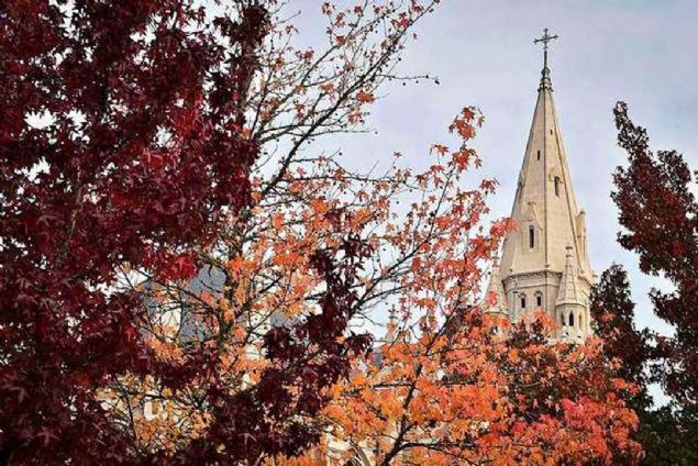 3874  <br><br>  Yeni peygamber toplumun her kesiminden destek alacak.   <br><br>  Yeni bir kilise rgtlenecek.   