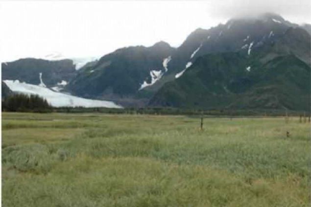 Ayn yer. Ancak aradan on yllar gemi ve 2005 yl yaznda blge bu halde...  