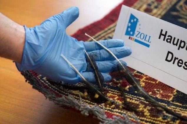 Uyuturucunun, iplerden yaplm ince klflarn iine konulduu ve bunlarn da halnn iine dokunduu ortaya kt.  