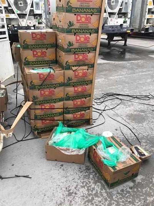 Teksas'taki cezaevi kurumlar, olay 'Hayat size bazen limon verir. Bazen muz verir. Bazen de hi ummadnz bir ey verir' diyerek esprili bir dille duyurdu.   <br><br>  45 koli muzun altna gizlenen 540 paket kokaini kimin gnderdii henz bilinmiyor.       