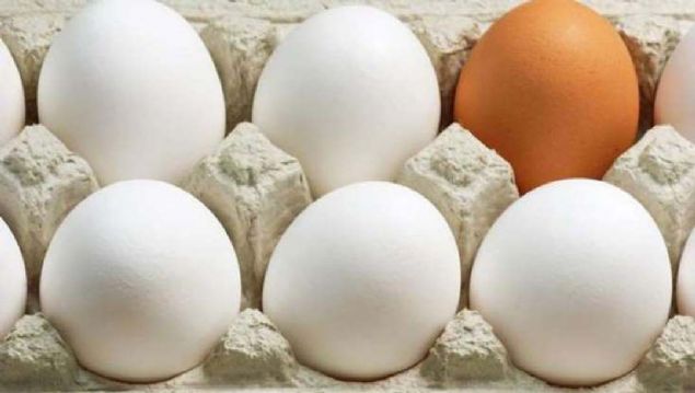 Kabuundaki salmonella varl, yumurtaya geebiliyor. Grnn kirli ve zerinde kk de olsa atlak olmamasna da dikkat edilmeli.   