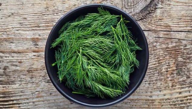 YELLKLER  <br><br>  Diri grntsnden uzak, solgun hatta sararmaya yz tutmu yeilliklerin besin deeri ok nemli lde kayboluyor ve bu besinler bozulmaya yz tutmu oluyor.    