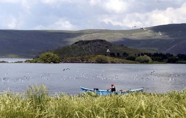 'Bir sre nce kular bu adalara yumurta brakt. u an ise yumurtadan kan yavrularla buralar enlendi. Yavrular ve ebeveynleri bu blgeye ayr bir gzellik katyor. ldr Gl en renkli ve hareketli dnemini yayor. Burada bir ku cenneti mevcut.' 