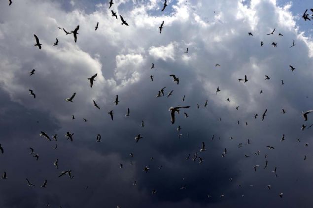 Gln Ardahan kesimindeki Akakale kynde balklk yapan Turhan Kl, ldr Gl'nn her mevsim ayr gzellikler sunduunu syledi. 