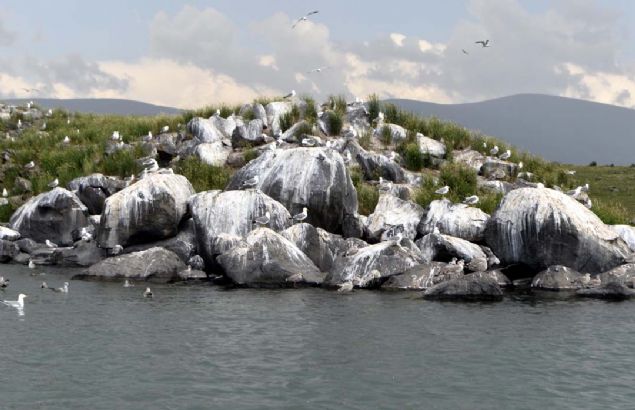 Kl, ldr Kaymakam Bedirhan mamolu'nun blgeye byk emek verdiini belirterek, 'Blgeyi kyllerle birlikte korumamzdan dolay bu adalar ve gl yazn byle enleniyor.' ifadesini kulland. 