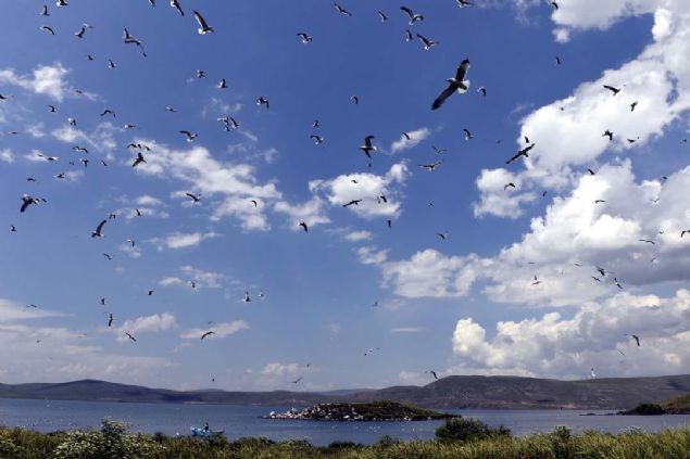 Ardahan'a 45 kilometre uzaklkta bulunan ve k mevsiminde Eskimo usul balk avcl ile atl kzak gezintisinin yapld ldr Gl, her mevsim farkl gzellikleriyle ziyaretilerini hayran brakyor. 