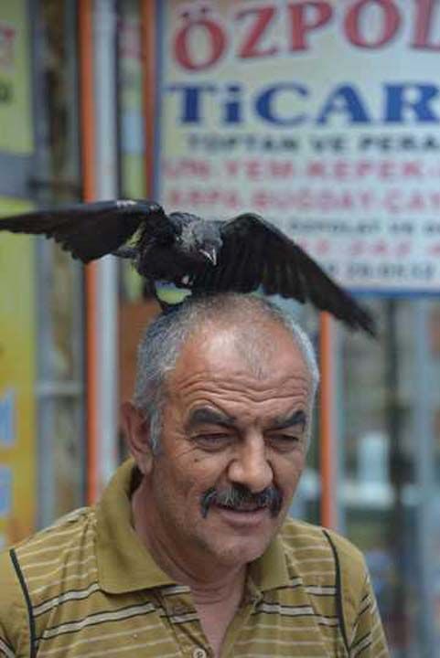  yerimde kendisine bir de yuva yaptm. Onu komu esnafn gnderdii ca kebab ve tavuk etiyle besliyorum, bazen de zel yem veriyorum... 