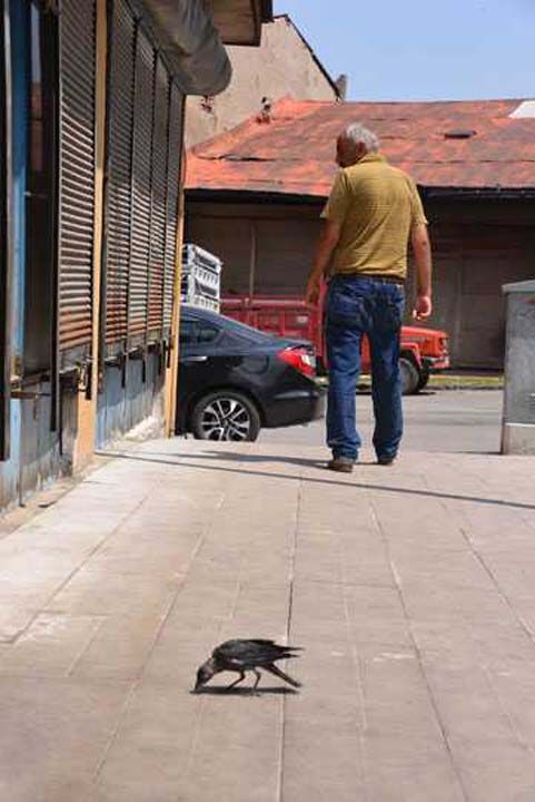 'Besle kargay oysun gzn' szn hatrlatan Yksel zpolat, 'Bizde tam aksi oldu. Her trl canl sevginin karln veriyor... 