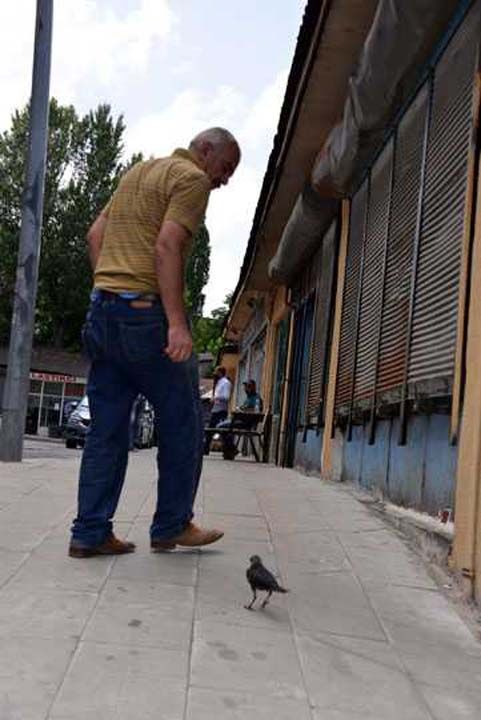 Merkez Yakutiye lesi Glba semtinde yem sat yapan Yksek zpolat, 15 gn nce park halindeki aralarn arasnda bir kedinin yavru kargay avlamak zere olduunu grd.  