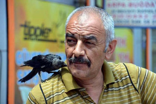 smini 'Gak' koydum, seslendike o da bana karlk olarak 'gak' diyor. Benim 3 olum vard, bu yavru karga da kzm oldu... 