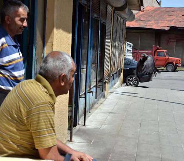 Peygamber efendimizin bir hadisi var; 'Sizler yeryzndekilere kar merhametli olun ki, semada bulunanlar da size rahmet etsinler' diye. Bende de merhamet var' diye konutu. 
