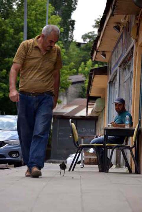 Hayvanlar seviyorum, gvercin beslerim, kedi ve kpekleri de severim. Karga da bendeki bu pozitif enerjiyi grm olmal ki aramzda bir ba olutu' dedi. 