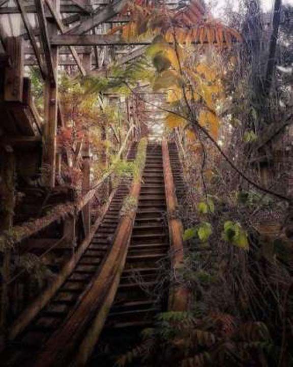 Terk edilmi bir hz treni.     