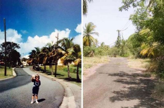 '2004'te kapanan Porto Riko Donanma ss'nde bydm. imdi oralar tamamen doaya ait!'         