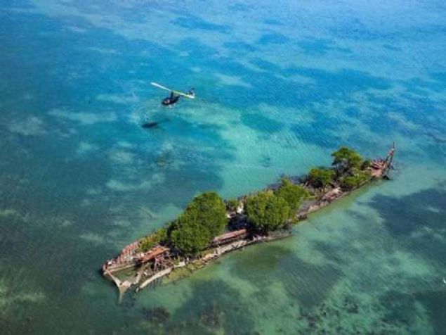 Terk edilmi bir gemi, doa tarafndan yava yava ele geiriliyor.        