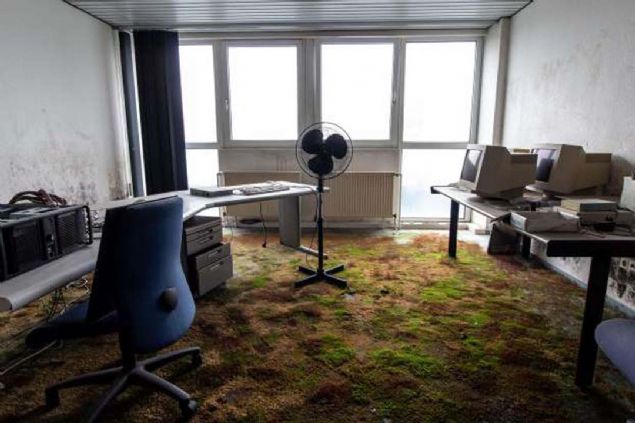 Yosunlarla kapl terk edilmi bir ofis.     <br><br>  (Listelist) 