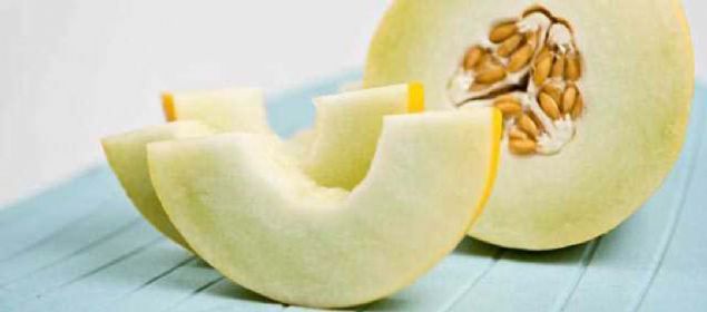 Bakteriler, bir oturuta nadiren bitirilen kavun gibi nemli gdalara baylrlar.  