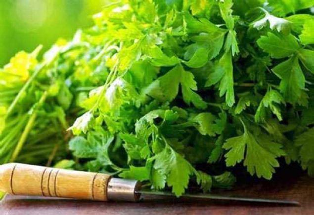 Taze maydanoz ve kini 