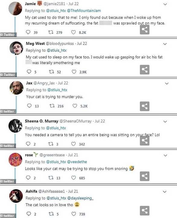 Kullan�c�lar;  <br><br>  'Kedin seni �ld�rmeye �al���yor'  <br><br>  'Horlamana engel olmay� deniyor'  <br><br>  'T�m�yle y�z�ne oturdu�u anlamak i�in kameraya m� ihtiyac�n vard�?  <br><br>  gibi yorumlarla Achi ve sahibine seslendi.  <br><br>  (NTV) 