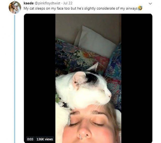 'Benim kedim de y�z�mde uyuyor ama biraz d���nceli, sa��mda uyuyor' 