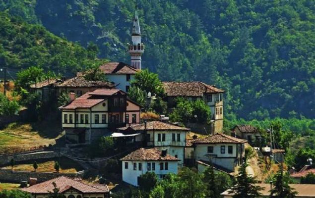 Sakarya - 136 bin 783  