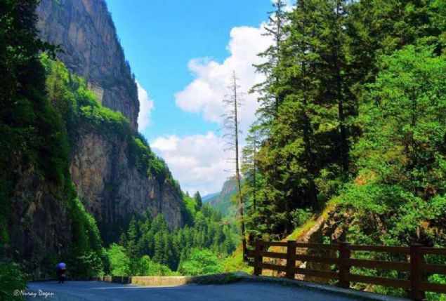 Trabzon - 398 bin 689 ki�i 