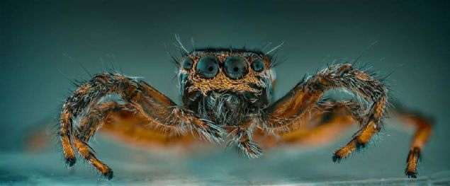 20. Panoramik rmcek (spanya)   