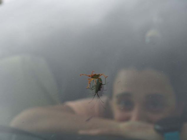 47. Observatori (spanya)  <br><br>  (Listelist)   