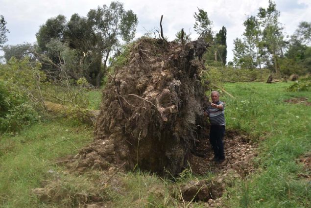 ok korktuuna syleyen Emine etin de, 'Hortumu grdmde ok korktum. Bahemizde bulunan dut aac yerinden oynad. Aacn kkten kacan dndm.Korkuyla eve katm' diye konutu.    