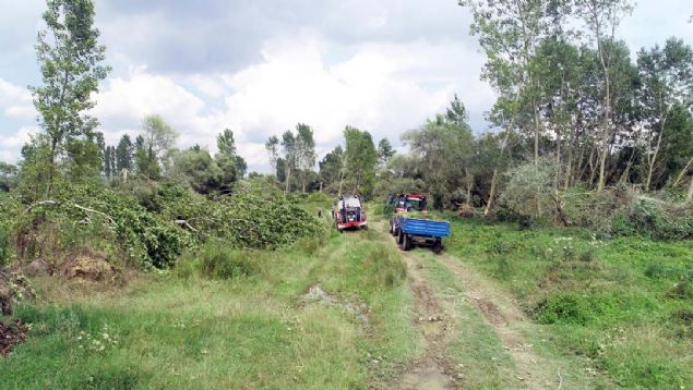 'OK BYK AFET'  <br><br>  Kyllerden Sami etin, hortumun iddetli yamurun ardndan geldiini belirterek,   <br><br>  'Pnarhisar tarafndan gk kararmasyla kyn zerine doru dev hortum geldiini grdm. Rzgarn etkisiylehortum, kyn dna, kavaklarn ve tarlalarn olduu blgeye doru yn deitirdi... 