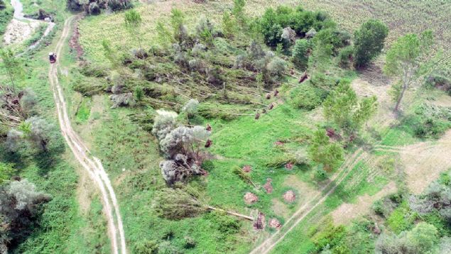 Kyllerden Bahattin Aktop da'Ekili olan ayiei tarlam byk zarar grd. Kavak aalarmz devirdi. 1983 ylnda yani 36 yl nce de ayn afeti yaamtk.   O zaman da aalar devrilip, ekili araziler zarar grmt. Hortumotlar bile skmt. Ayn blgede ayn alanda etkili oldu. 36 yl sonra ayn hortumun olmas bizi gerekten korkuttu' dedi.  