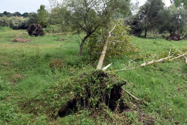Hortumun kendisine ait dev kavak aalarn yerinden sktn ifade eden Selim Akyldz, 'Bu afet, 36 yl nce de ayn yerde oldu. O hortum da bu aylarda yaand. O zaman 22 yandaydm. Yine kavak aalarmza zarar vermiti. O gnler de yaadmz korku, gzmde canland' dedi.   