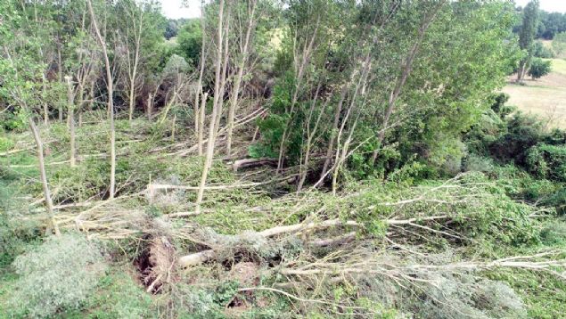 Hortum, yerinden sklen aalarn bulunduu tarlalarda 2 metre derinliinde ukurlar oluturdu. Kyller byk korku yaarken olayda can kayb meydana gelmedi.   
