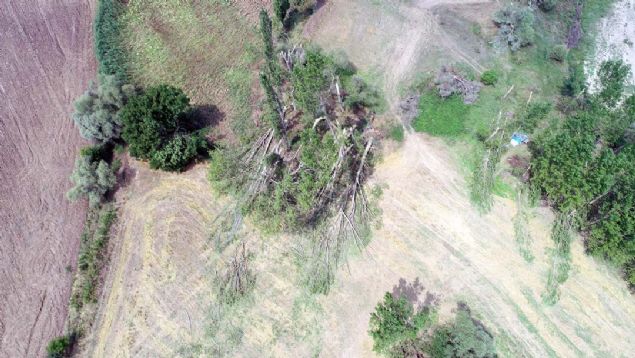 ok bykt. Dev aalar yerinden skt. Ayiei tarlalarn yere serdi. ok byk bir afetti' dedi. 