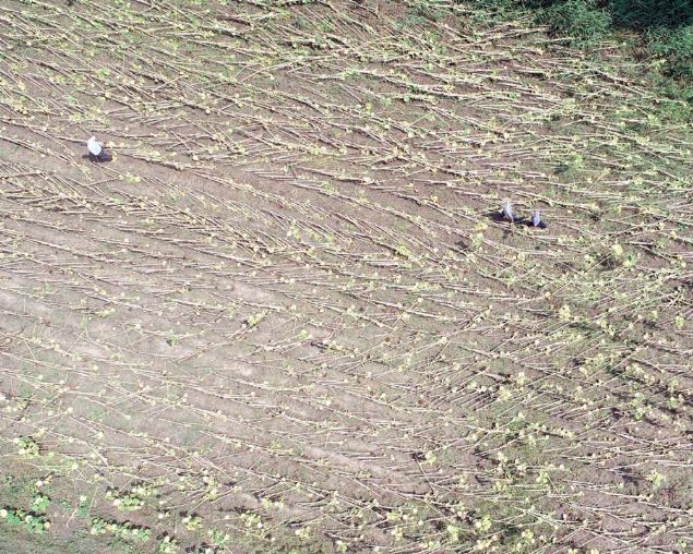 '36 YIL NCE AYNI YERDE, AYNI AYDA OLDU'  <br><br>  Kyller 36 yl nce de ayn blgede byk bir hortumun olutuunu ve zarar verdiini anlatt.        