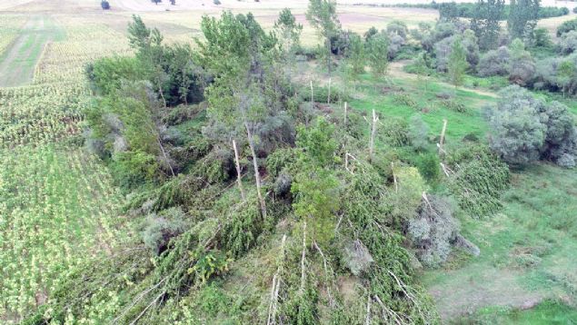 Byk korku yaayan kyller, 36 yl nce de ayn blgede hortum felaketi yaandn syledi.    