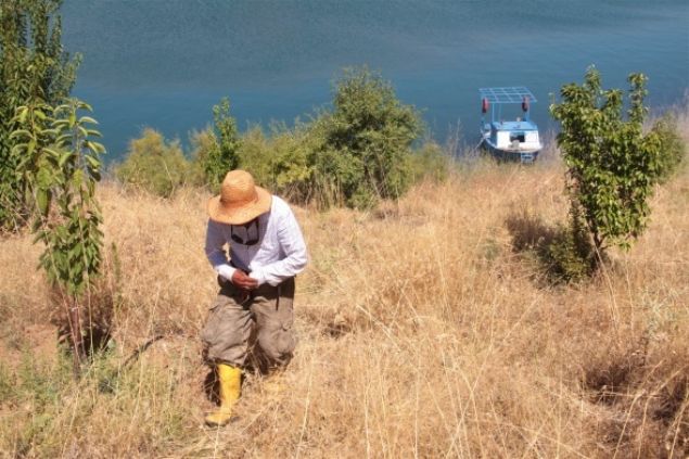 Tekne alıp, adaya giden ve yaptığı küçük bir kulübeye yerleşen Abay, tek başına yaşamaya başladı.    