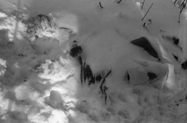 Ancak muhtemelen darya gre ok daha iyi scakla sahip adrda hipotermiye yakalanan genlerin, kendilerini neden ok daha souk olan darya atmaya altna aklk getirilemedi.        