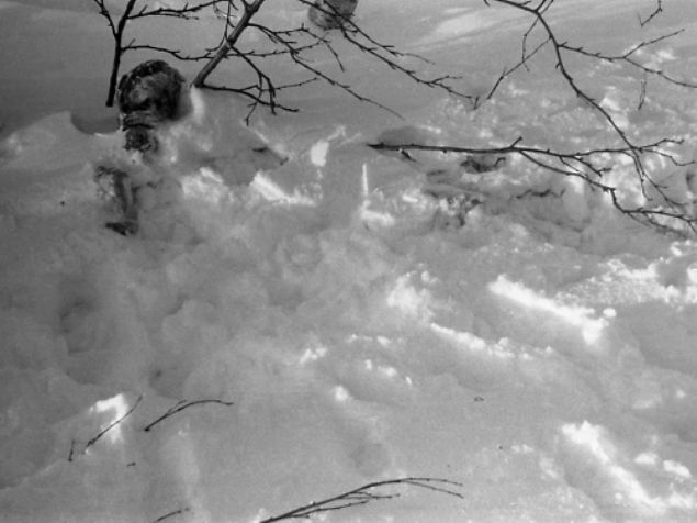 GZEM ZLEMYOR <br>  Sovyet yetkililerin ou, rencilerin lmlerinin faili olarak yerel Mansi kabilelerisini gsteriyordu. Mansilerin pusu kurarak ani bir saldr gerekletirmesi yrylerden adrlarndan kamasne, ve kargaaya neden olmu denildi.         