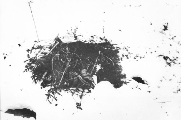 Daha sonra yaplan incelemelerde, blgede yakn zamanda hi  olay gereklemedii tespit edildi. Blgede dan kalma bir enkaz ya da zarar gren bir aa dahi yoktu.         